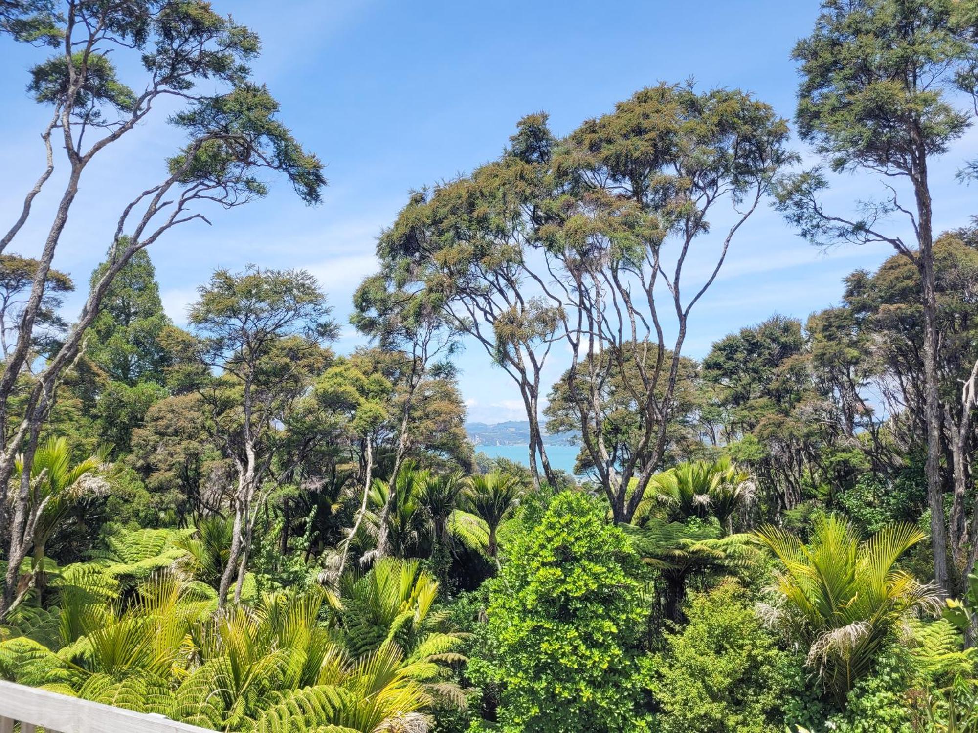 Annabells B&B Whitianga Exterior foto